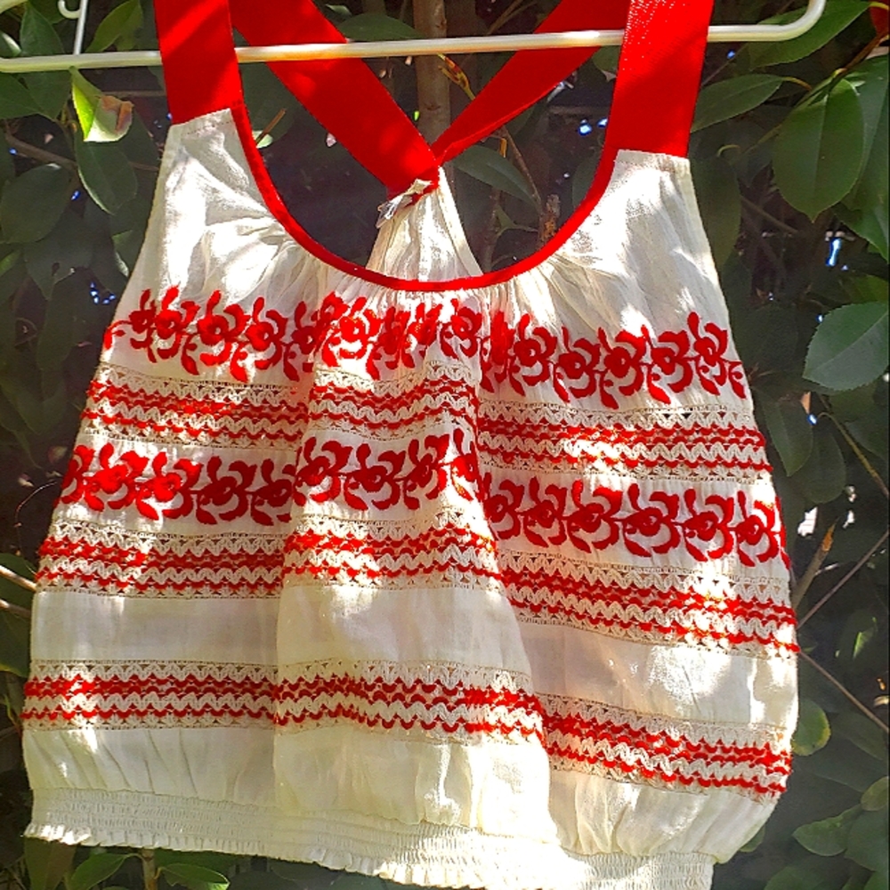 Red embroidered crop top